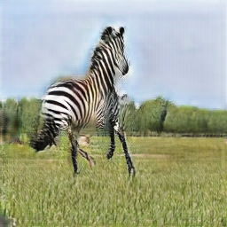 fake zebra - CUT